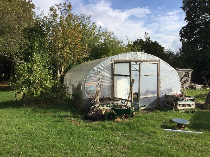 Polytunnel and wheelbarrow in the school garden