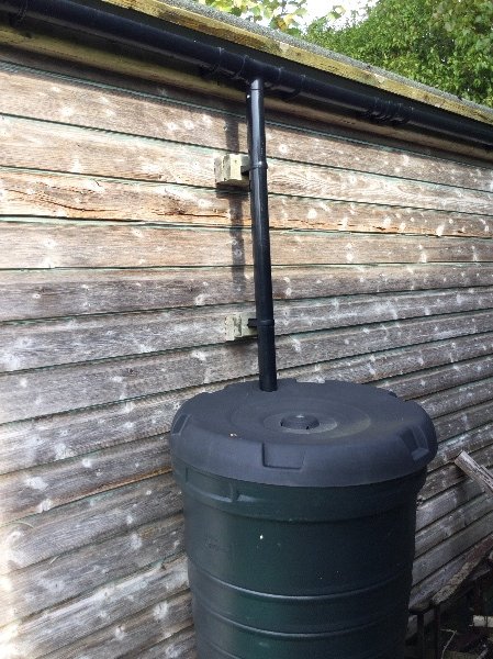 A water butt collecting rainwater from a shed roof