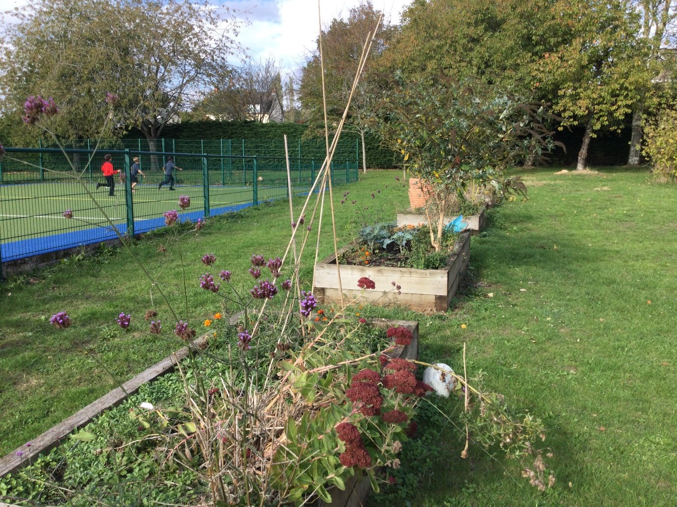 Raised flower and vegetable beds beside the school field