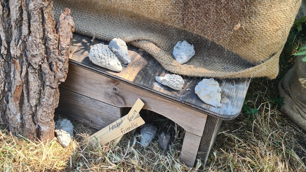 Clay hedgehogs and a Hedgehog Friendly Town sign