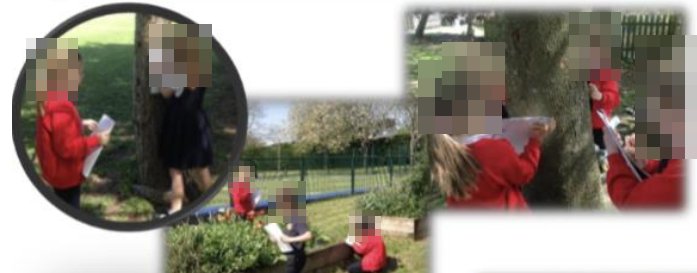 Children making bark rubbings and drawings outdoors